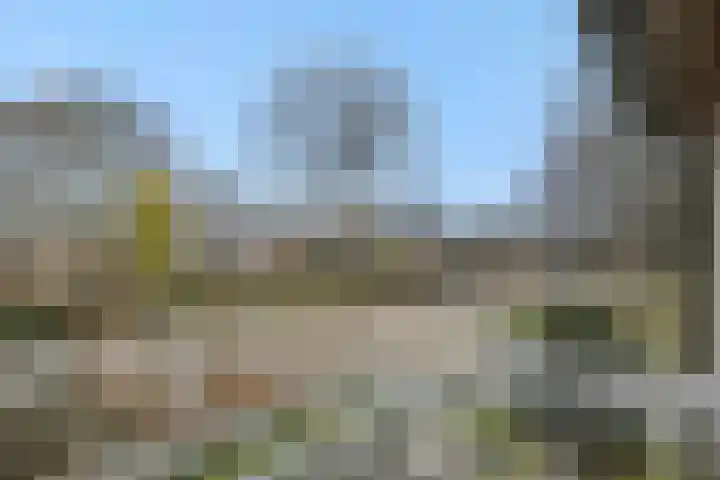 Kamperfoeliestraat 38 Rosmalen thumbnail 20