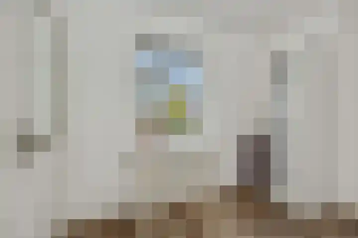 Kamperfoeliestraat 38 Rosmalen thumbnail 22