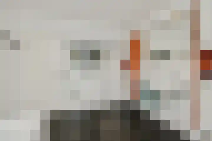 Kamperfoeliestraat 38 Rosmalen thumbnail 24