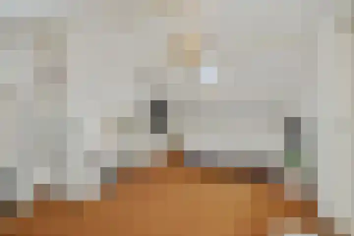Kamperfoeliestraat 38 Rosmalen thumbnail 30