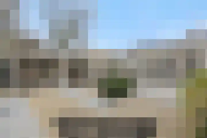 Kamperfoeliestraat 38 Rosmalen thumbnail 31