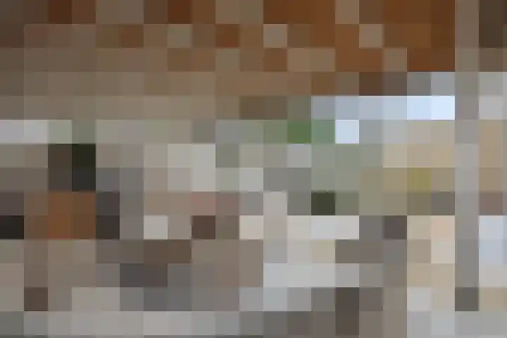 Kamperfoeliestraat 38 Rosmalen thumbnail 33