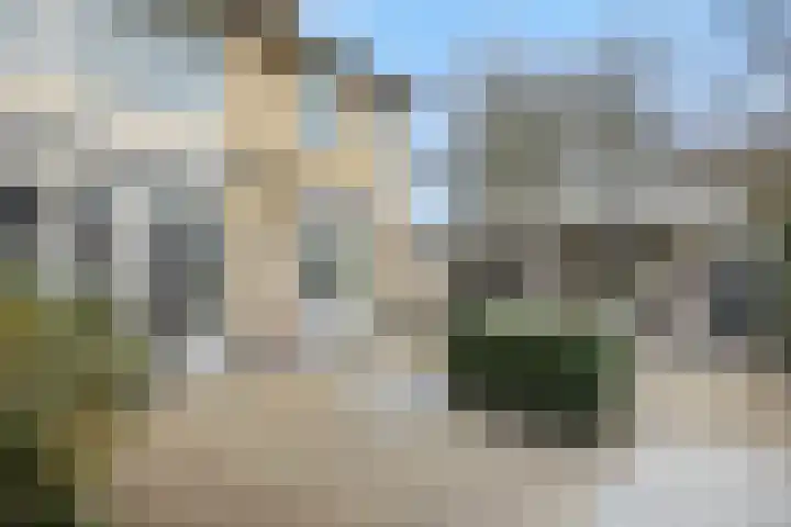 Kamperfoeliestraat 38 Rosmalen thumbnail 35