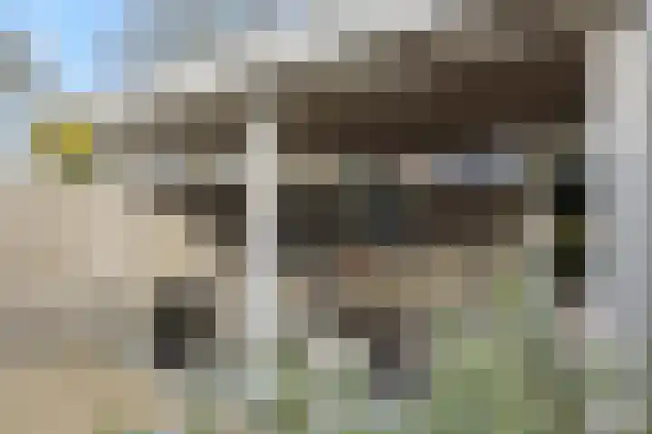 Kamperfoeliestraat 38 Rosmalen thumbnail 37