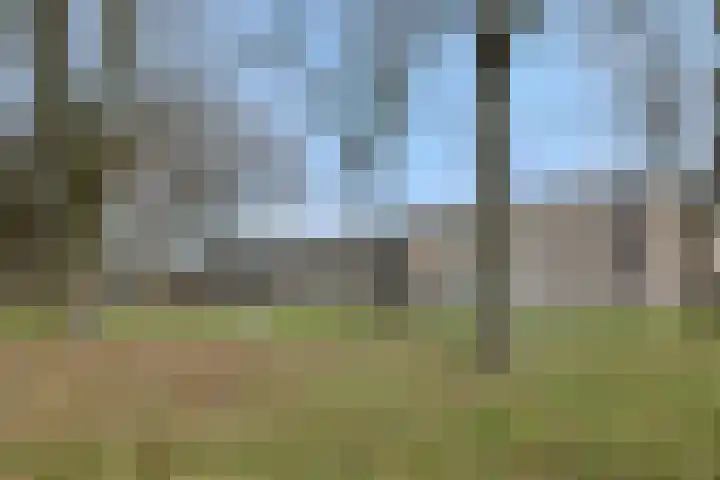 Kamperfoeliestraat 38 Rosmalen thumbnail 46