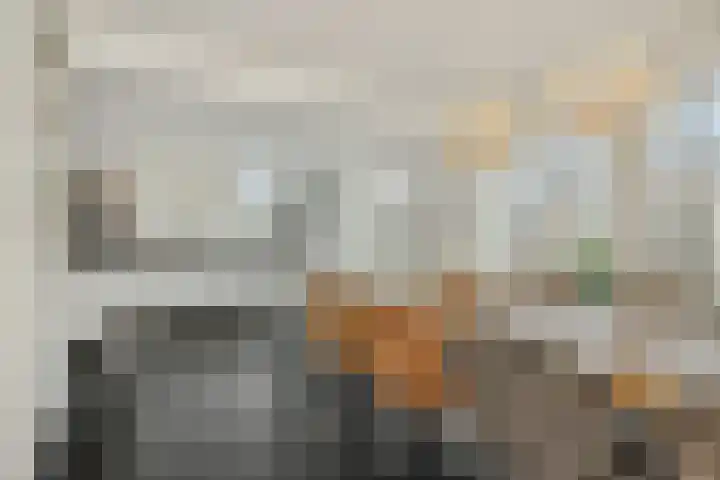 Kamperfoeliestraat 38 Rosmalen thumbnail 9