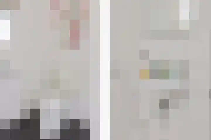 Kamperfoeliestraat 4 H Oss thumbnail 10