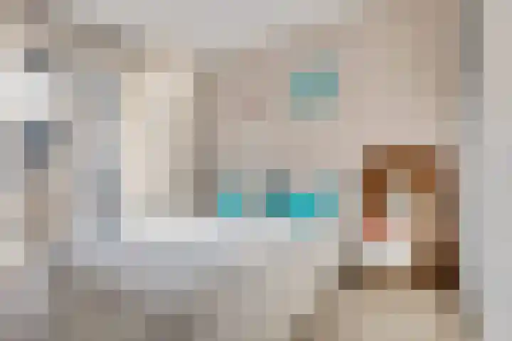 Kamperfoeliestraat 4 H Oss thumbnail 11