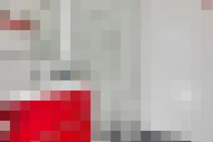 Kamperfoeliestraat 4 H Oss thumbnail 13