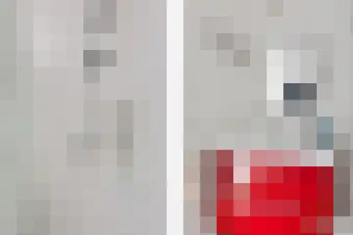 Kamperfoeliestraat 4 H Oss thumbnail 14