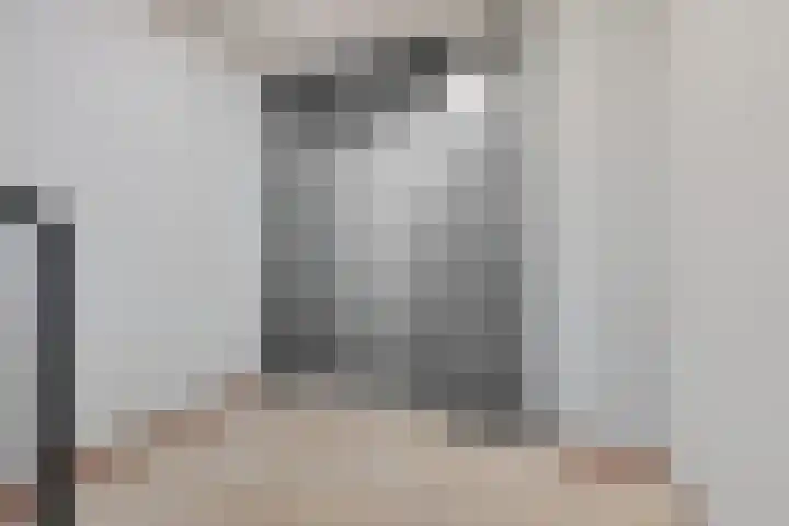 Kamperfoeliestraat 4 H Oss thumbnail 19
