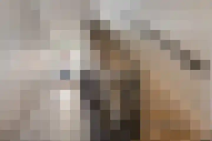 Kamperfoeliestraat 4 H Oss thumbnail 20
