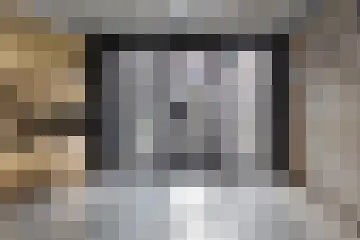 Kamperfoeliestraat 4 H Oss thumbnail 23