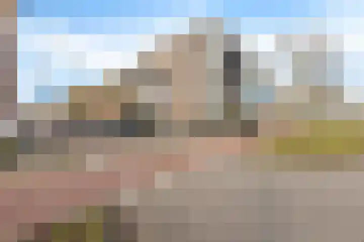 Kamperfoeliestraat 4 H Oss thumbnail 26
