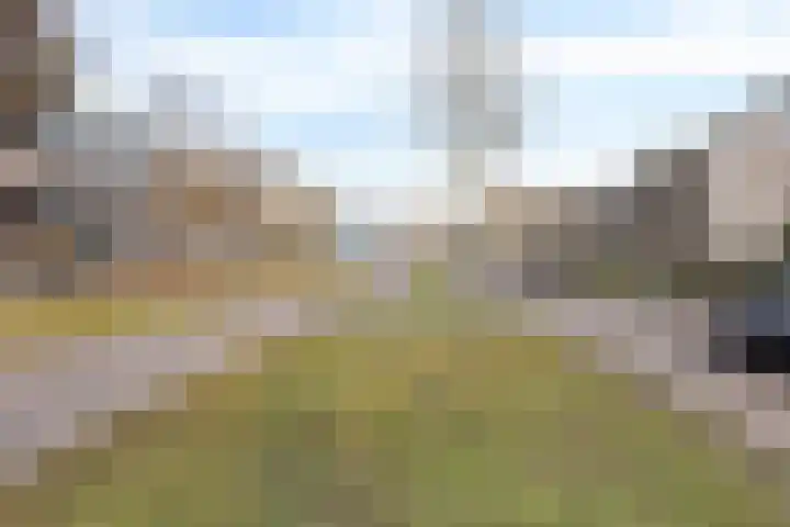 Kamperfoeliestraat 4 H Oss thumbnail 27