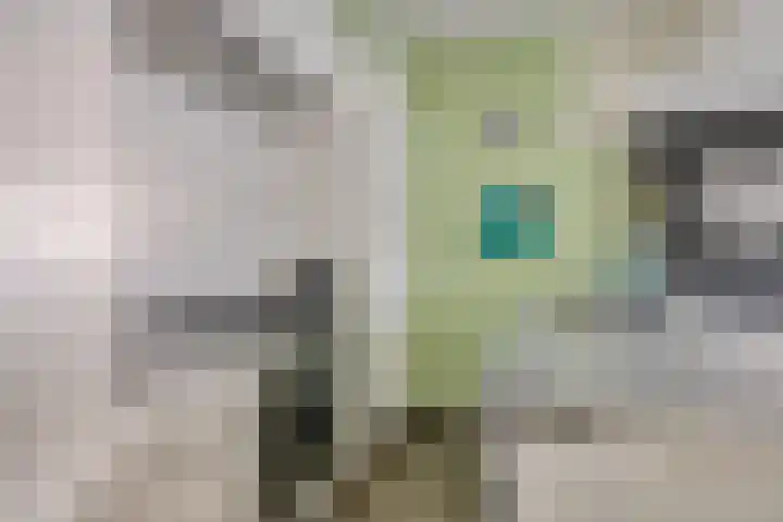 Kamperfoeliestraat 4 H Oss thumbnail 7