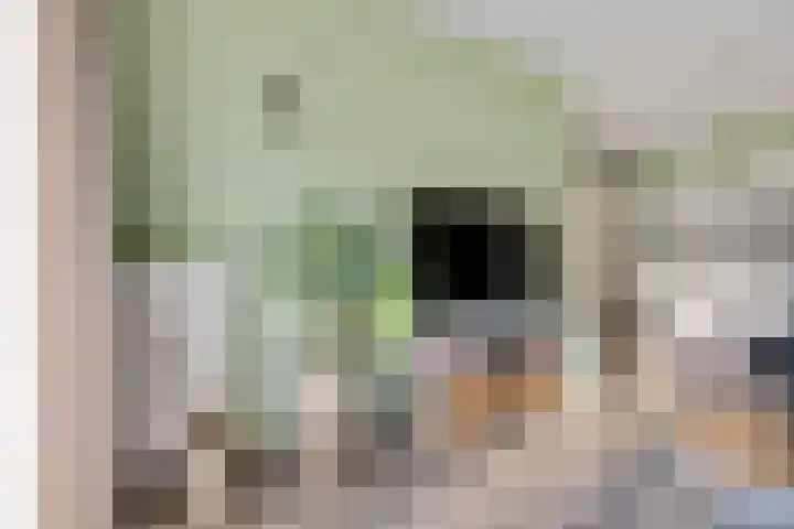 Kamperfoeliestraat 4 H Oss thumbnail 8