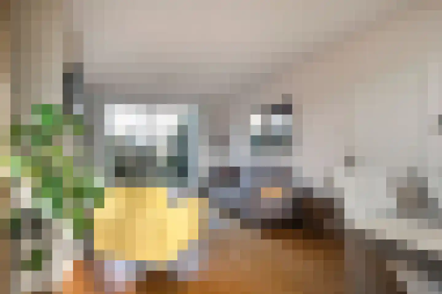 Kamperfoeliestraat 42 Soest thumbnail 8