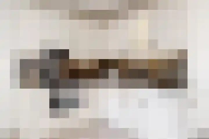 Kamperfoeliestraat 44 Heteren thumbnail 10