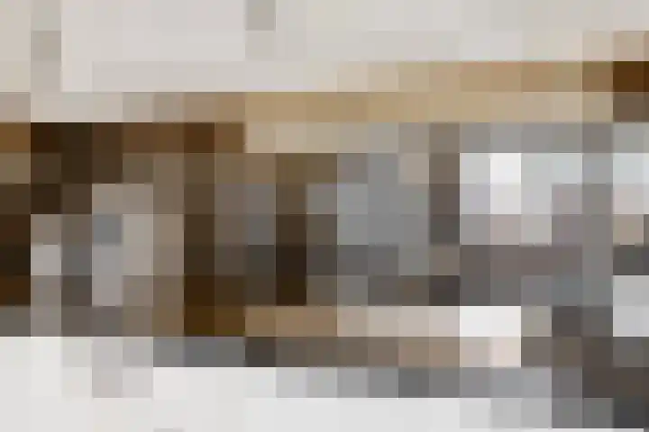 Kamperfoeliestraat 44 Heteren thumbnail 12