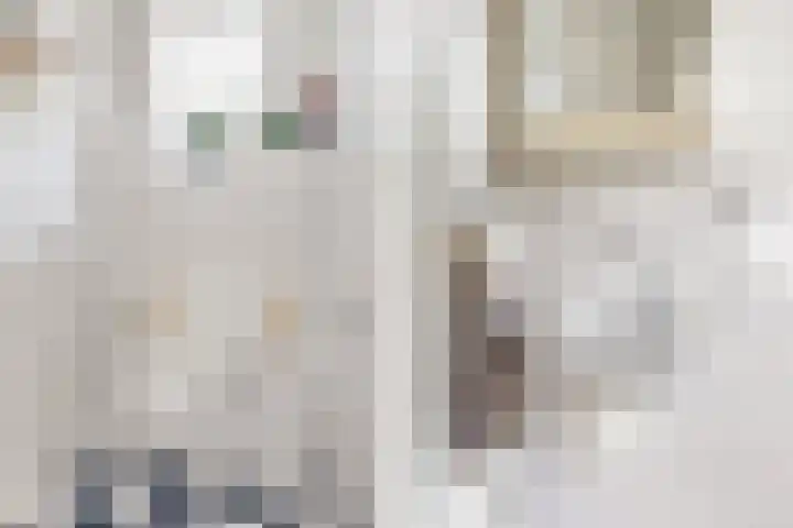 Kamperfoeliestraat 44 Heteren thumbnail 17
