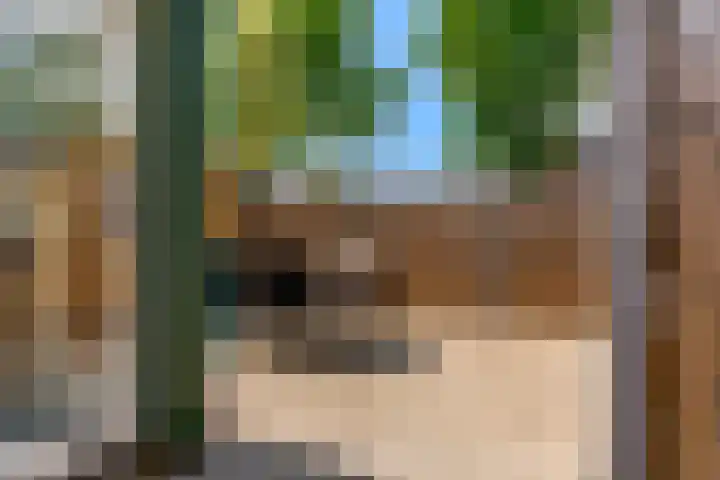 Kamperfoeliestraat 44 Heteren thumbnail 36