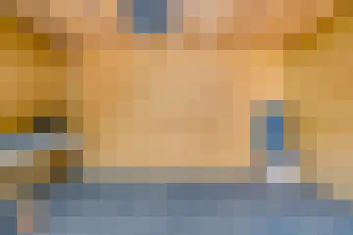 Kamperfoeliestraat 44 Heteren thumbnail 39