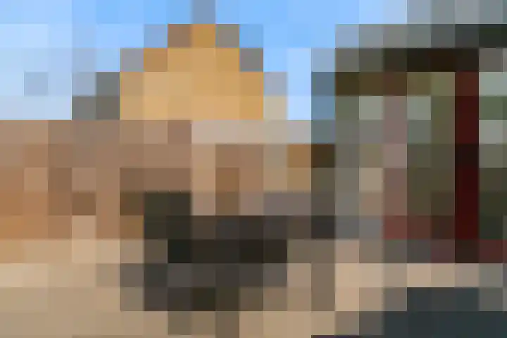 Kamperfoeliestraat 44 Heteren thumbnail 40