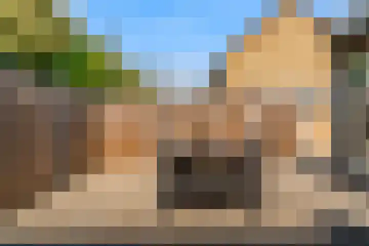 Kamperfoeliestraat 44 Heteren thumbnail 41
