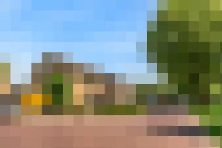 Kamperfoeliestraat 44 Heteren thumbnail 44