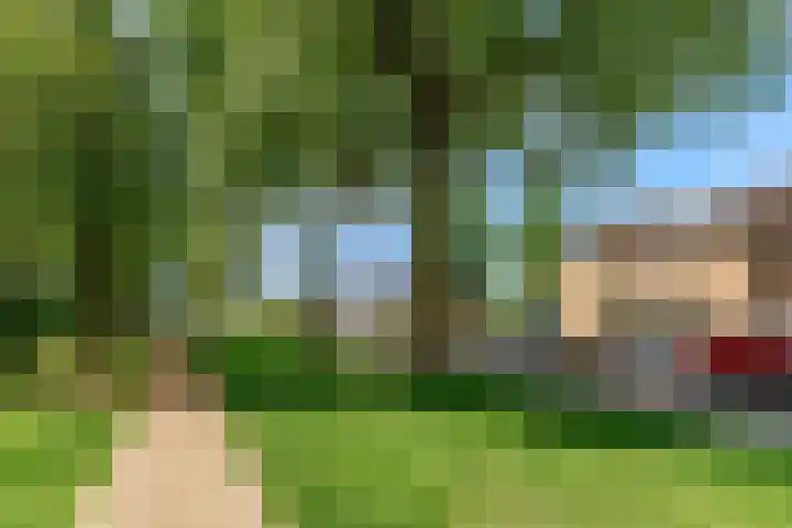 Kamperfoeliestraat 44 Heteren thumbnail 47