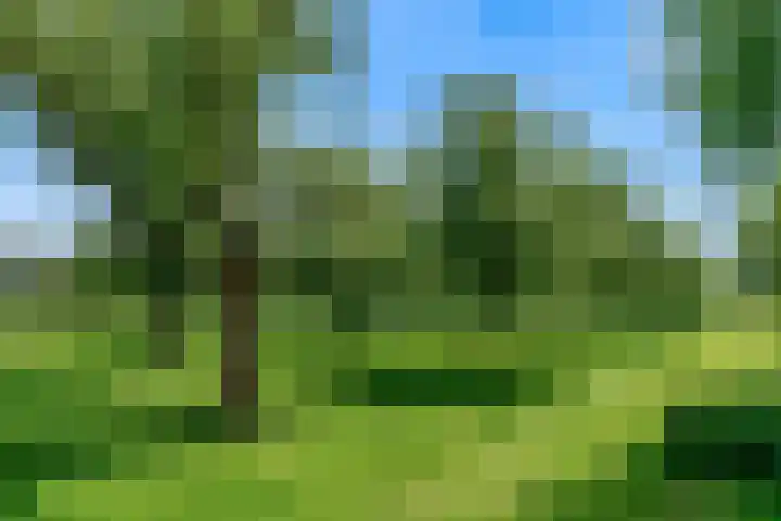 Kamperfoeliestraat 44 Heteren thumbnail 48