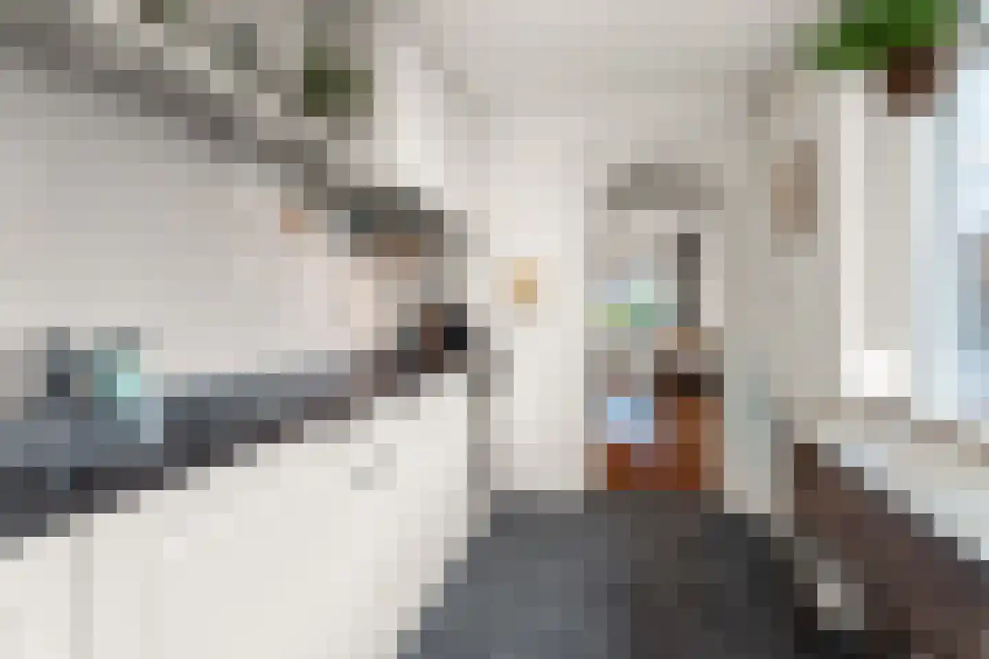 Kamperfoeliestraat 44 Nijmegen thumbnail 25