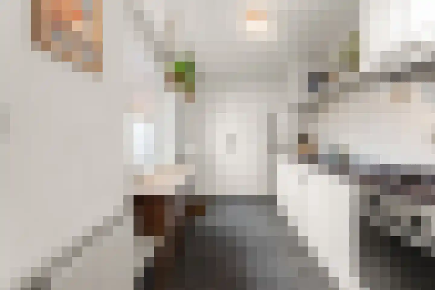 Kamperfoeliestraat 44 Nijmegen thumbnail 27