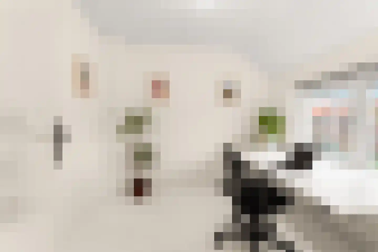 Kamperfoeliestraat 44 Nijmegen thumbnail 36