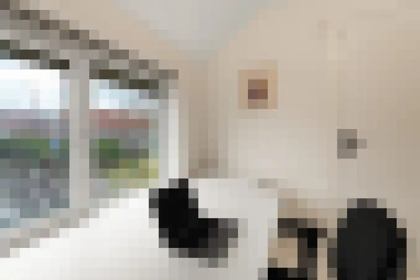Kamperfoeliestraat 44 Nijmegen thumbnail 39