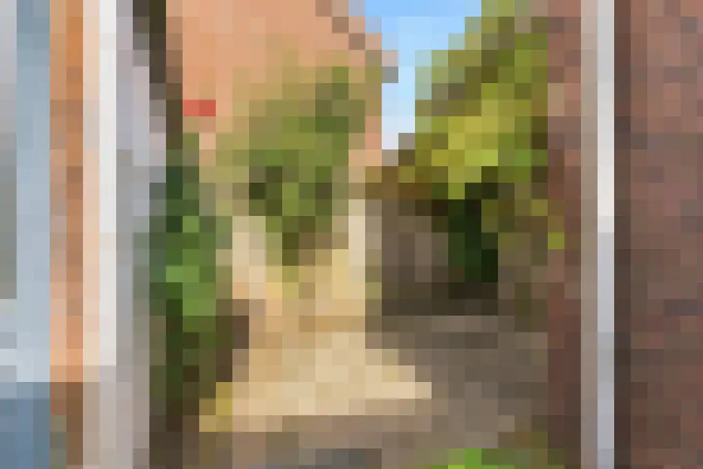 Kamperfoeliestraat 44 Nijmegen thumbnail 47