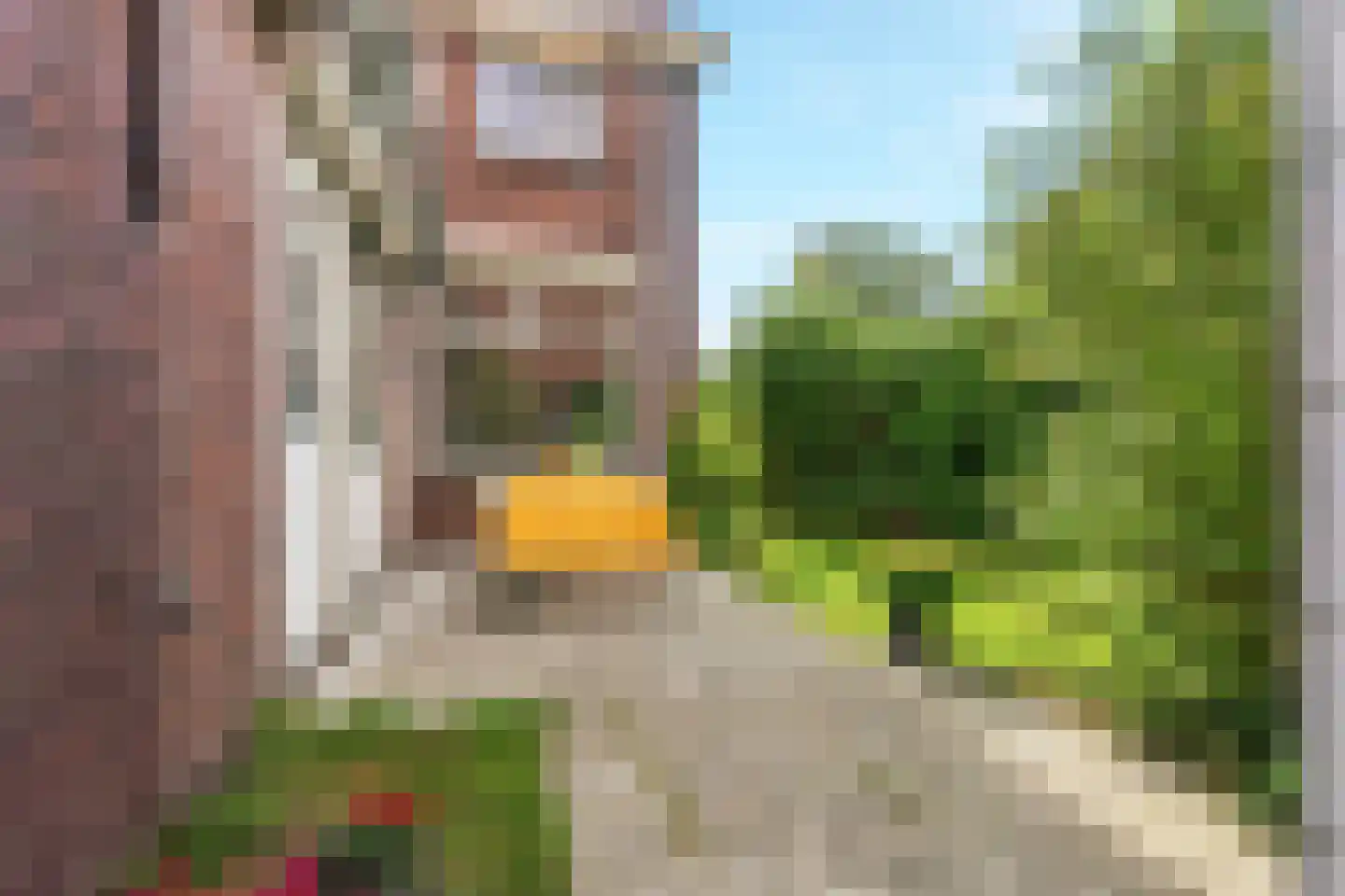 Kamperfoeliestraat 44 Nijmegen thumbnail 48