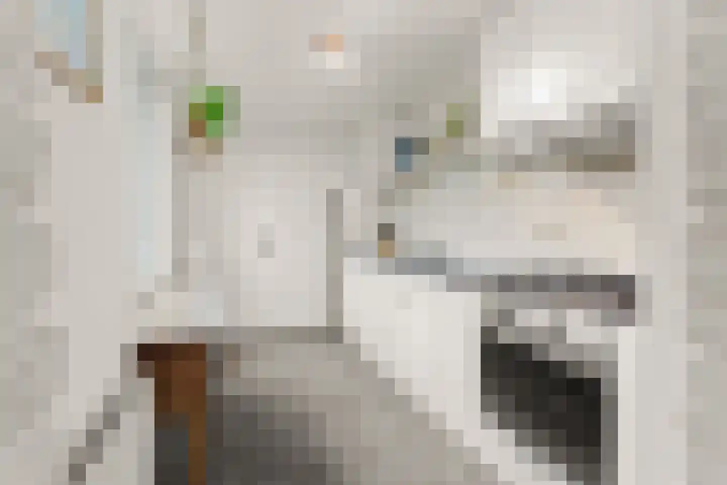 Kamperfoeliestraat 44 Nijmegen thumbnail 5
