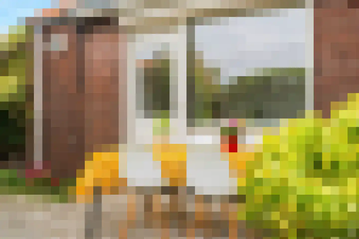 Kamperfoeliestraat 44 Nijmegen thumbnail 50