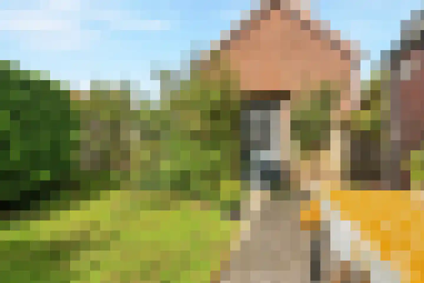Kamperfoeliestraat 44 Nijmegen thumbnail 52