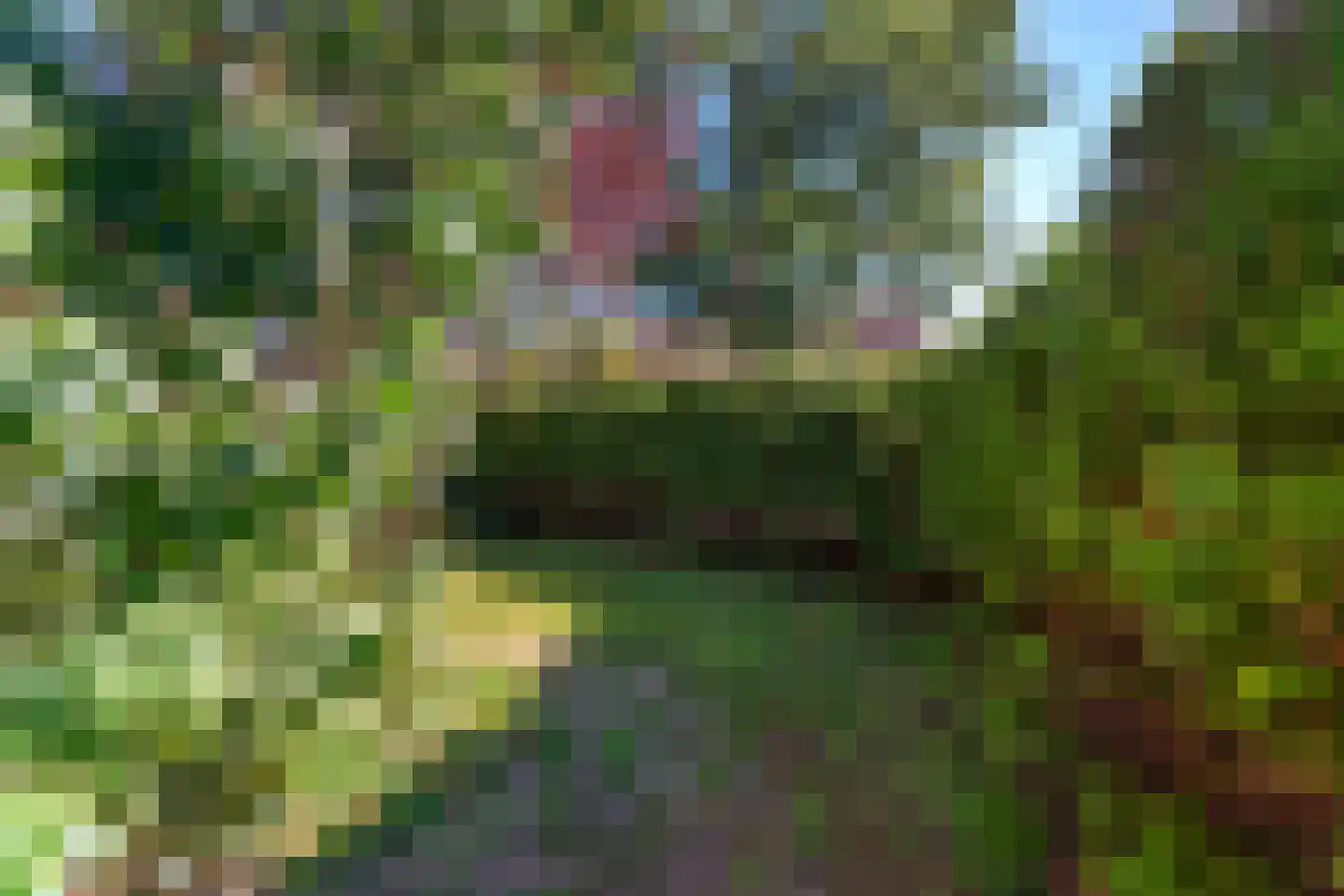 Kamperfoeliestraat 44 Nijmegen thumbnail 53