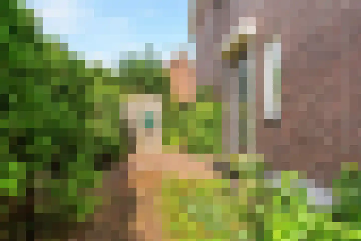 Kamperfoeliestraat 44 Nijmegen thumbnail 8
