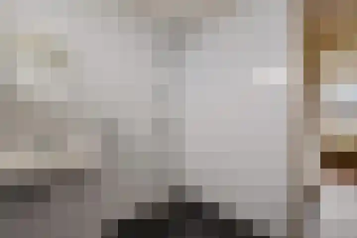 Kamperfoeliestraat 45 Musselkanaal thumbnail 17