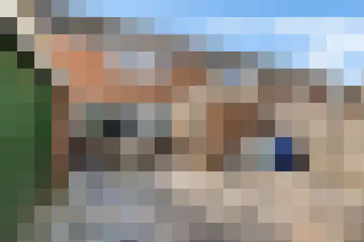 Kamperfoeliestraat 45 Musselkanaal thumbnail 20