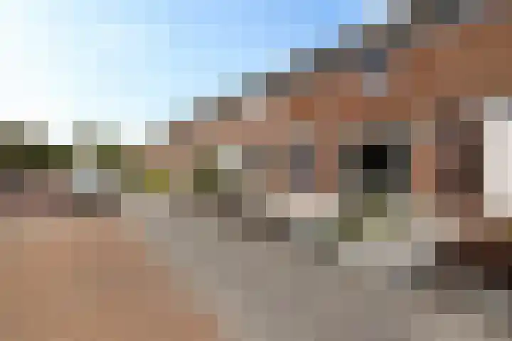 Kamperfoeliestraat 45 Musselkanaal thumbnail 25