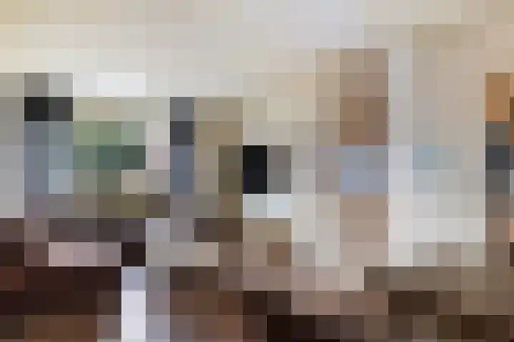 Kamperfoeliestraat 45 Musselkanaal thumbnail 5