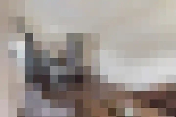 Kamperfoeliestraat 45 Musselkanaal thumbnail 7