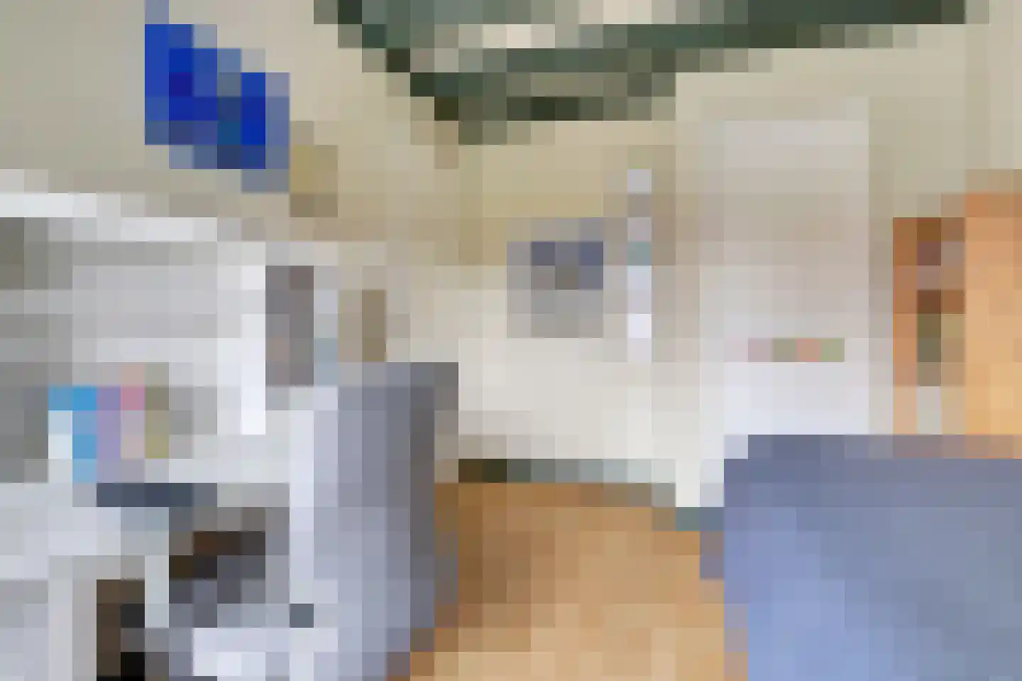 Kamperfoeliestraat 48 Goes thumbnail 18