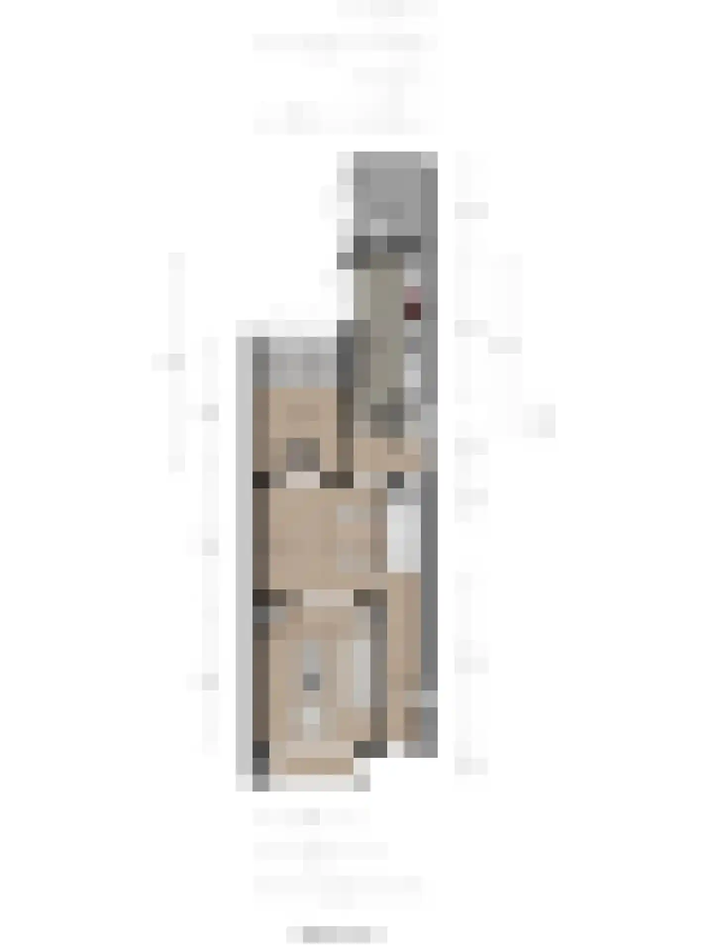 Kamperfoeliestraat 48 Goes thumbnail 30